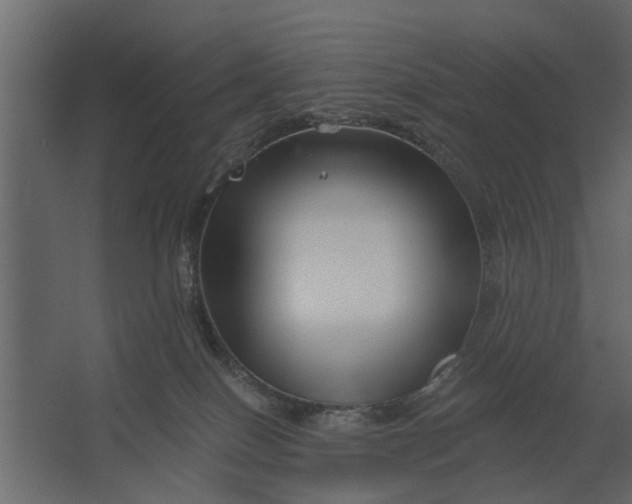 X0000067510086200604211802