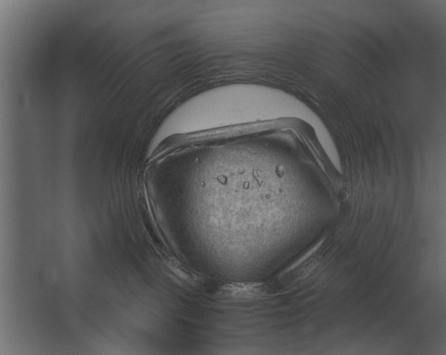 X0000067510093200604211802