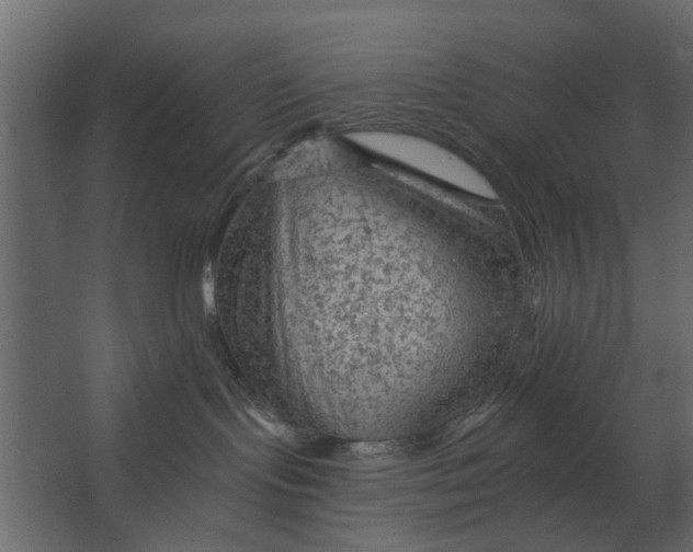 X0000067510095200604211802