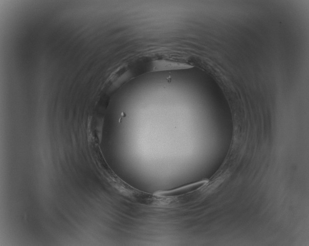 X0000067510096200604211802