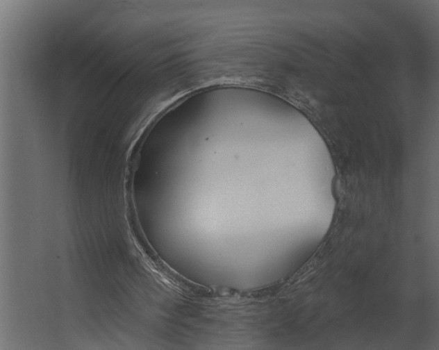 X0000067510098200604211801