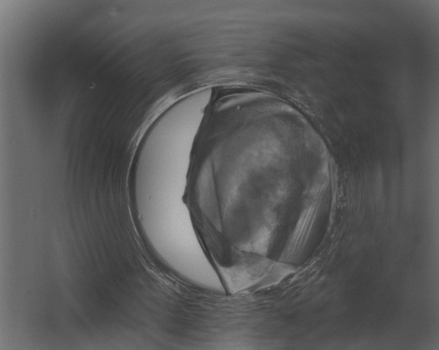 X0000067510099200604211801