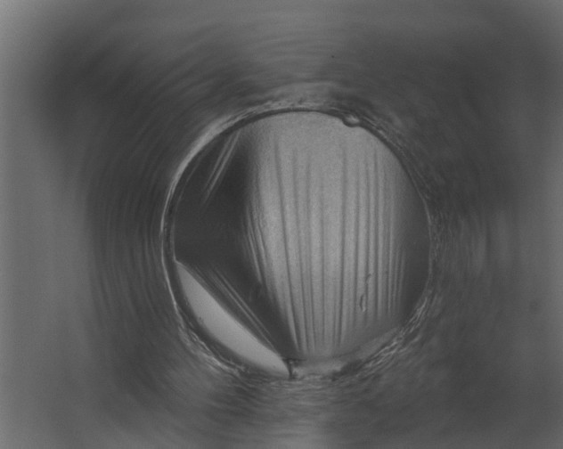 X0000067510100200604211801