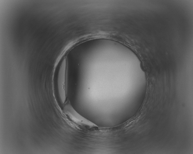 X0000067510102200604211801