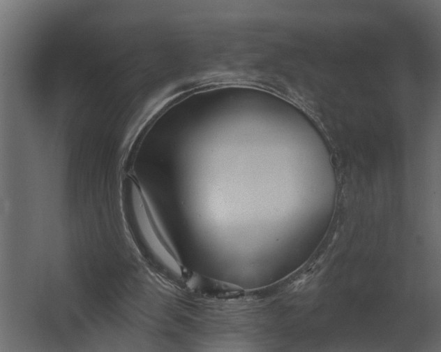 X0000067510103200604211801