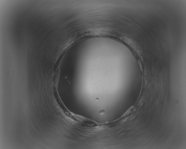 X0000067510105200604211801