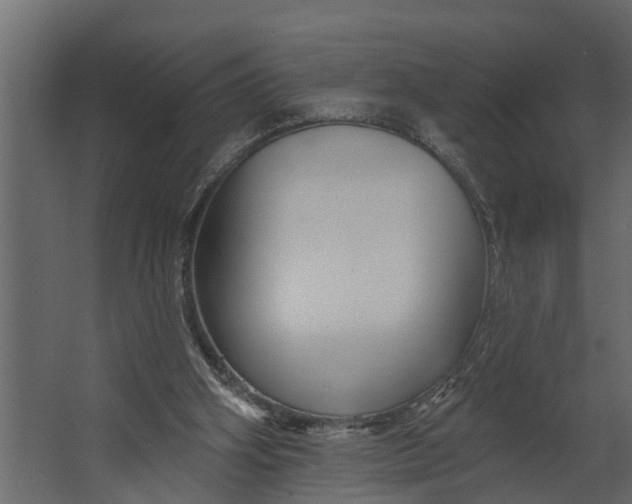 X0000067510106200604211801