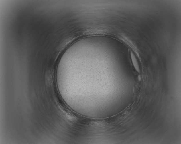 X0000067510107200604211801