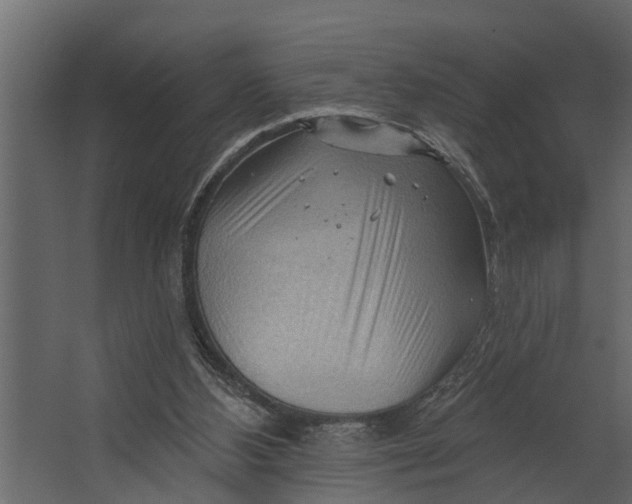 X0000067510108200604211801