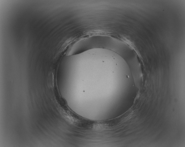 X0000067510109200604211801