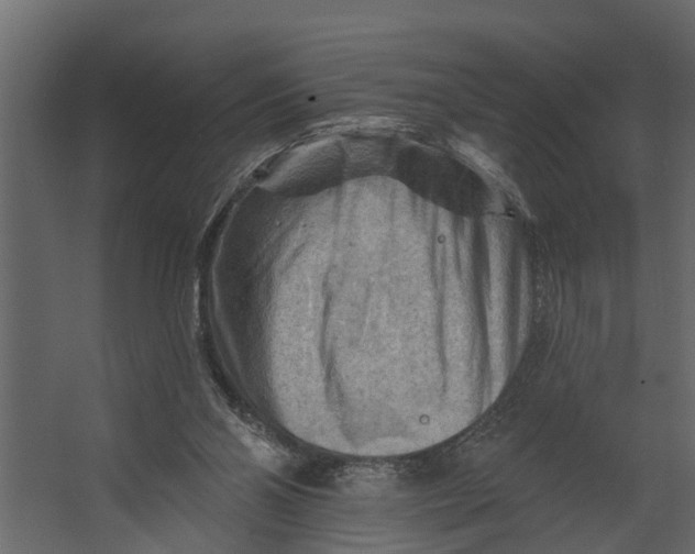 X0000067510110200604211801