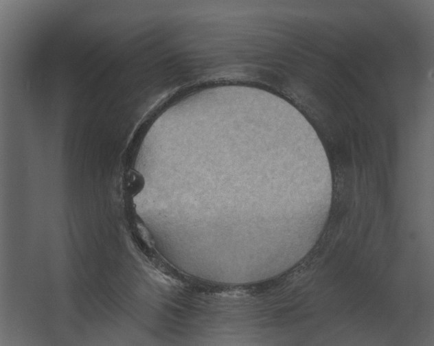 X0000067510112200604211801