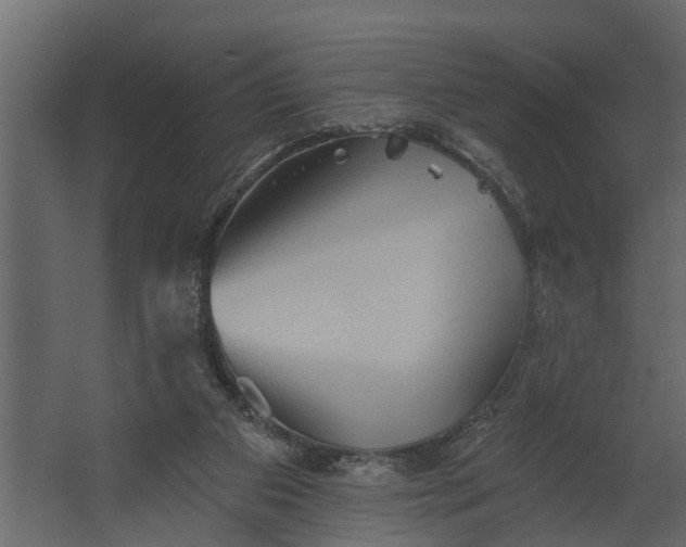 X0000067510113200604211801