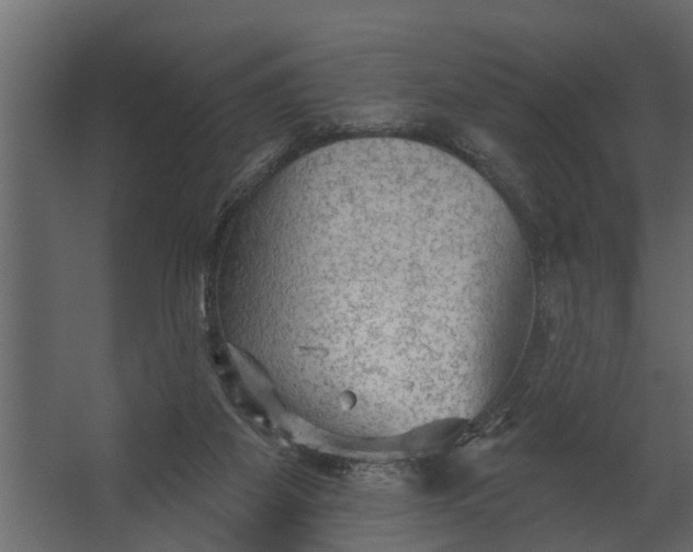 X0000067510115200604211801