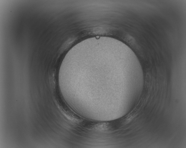 X0000067510116200604211801