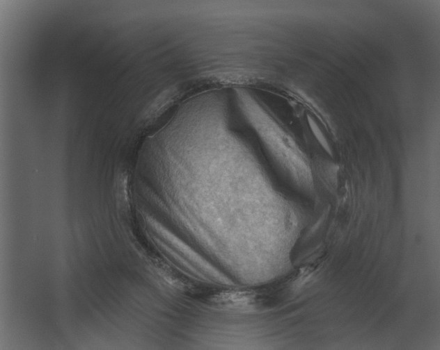 X0000067510117200604211801