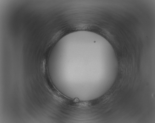 X0000067510118200604211801