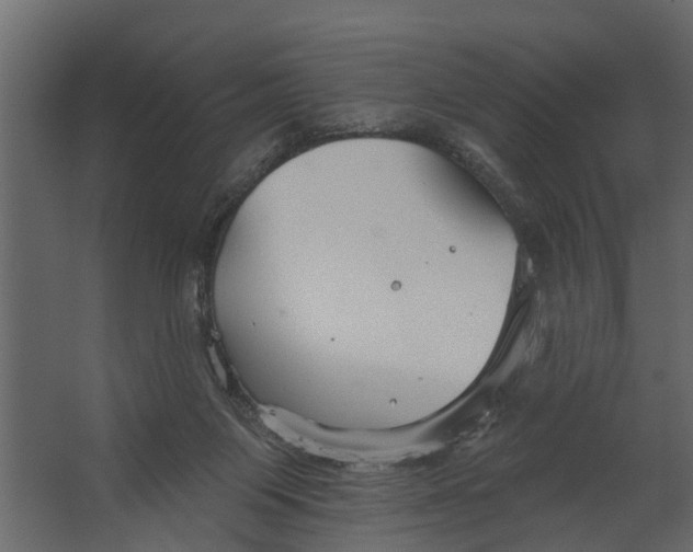 X0000067510119200604211801