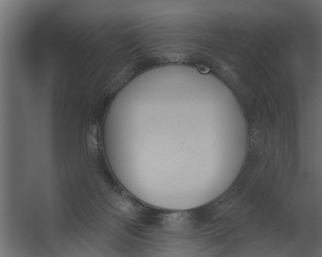 X0000067510122200604211801