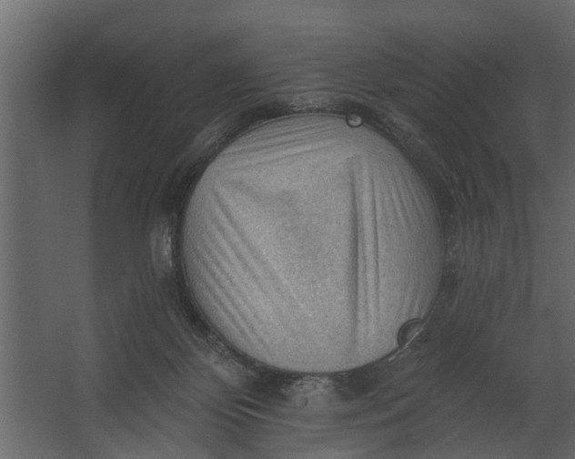 X0000067510124200604211801