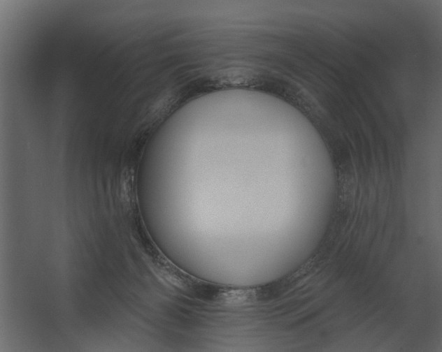 X0000067510126200604211801