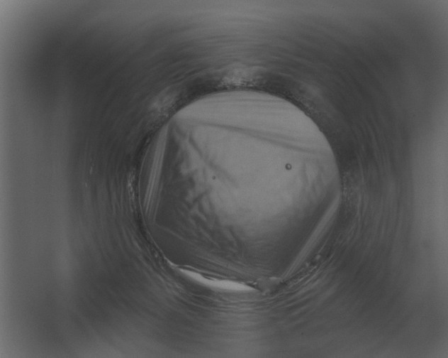 X0000067510127200604211801