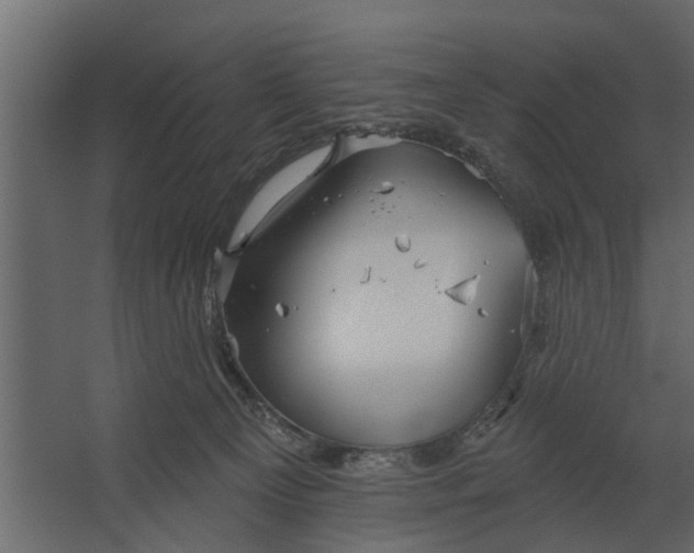 X0000067510129200604211801