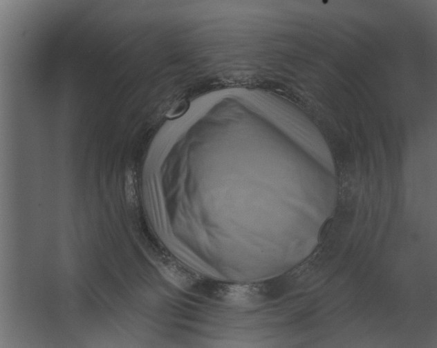 X0000067510130200604211801