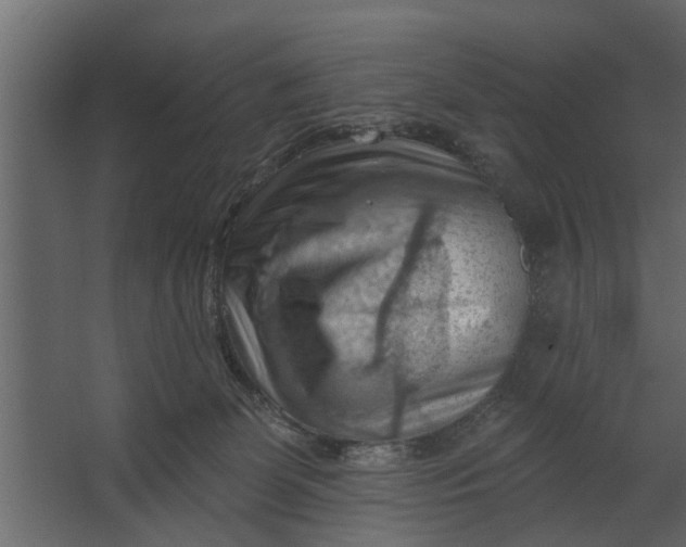 X0000067510131200604211801