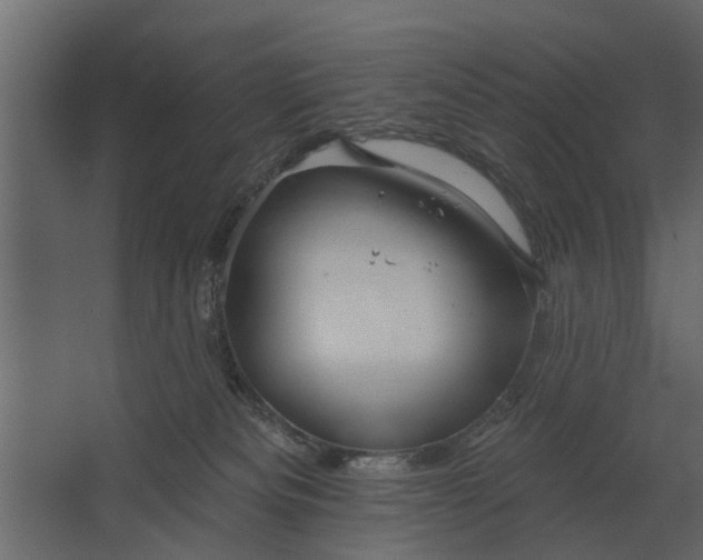 X0000067510133200604211801