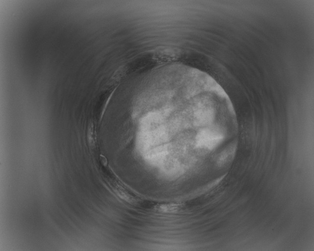 X0000067510134200604211801