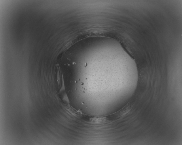 X0000067510135200604211801