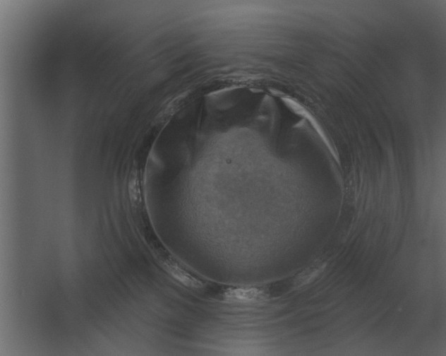 X0000067510137200604211801