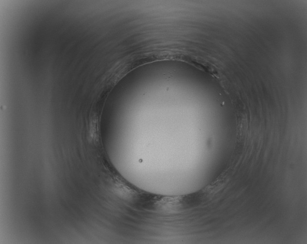 X0000067510138200604211801