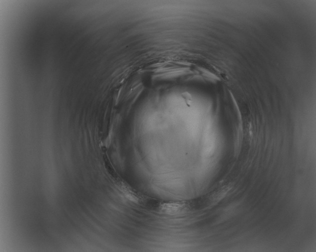 X0000067510139200604211800