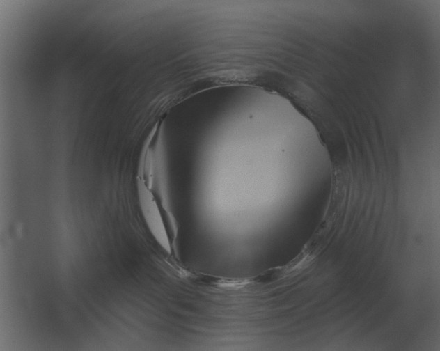 X0000067510143200604211800