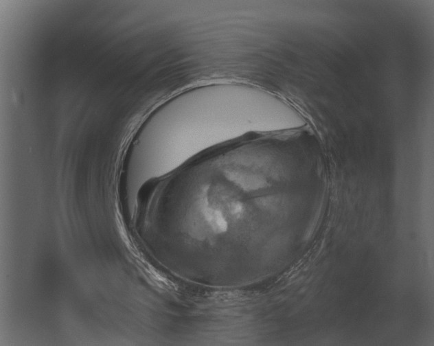 X0000067510145200604211800