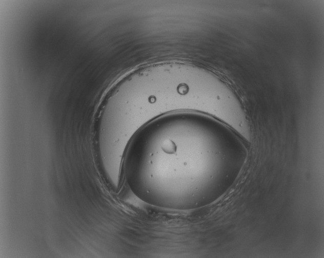 X0000067510146200604211800