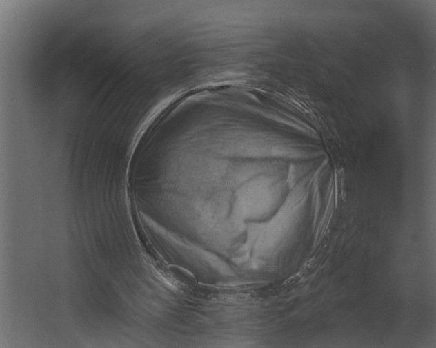 X0000067510147200604211800