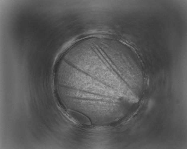 X0000067510149200604211800