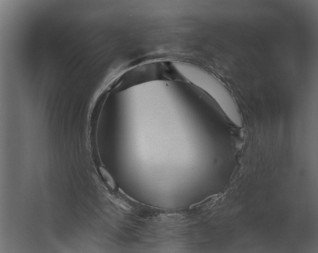 X0000067510150200604211800