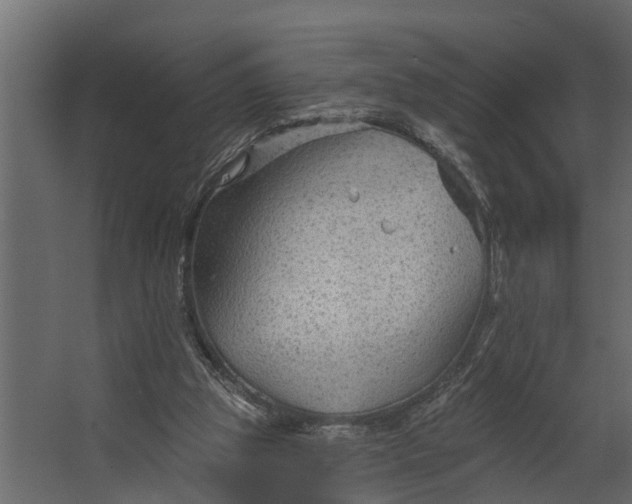 X0000067510153200604211800