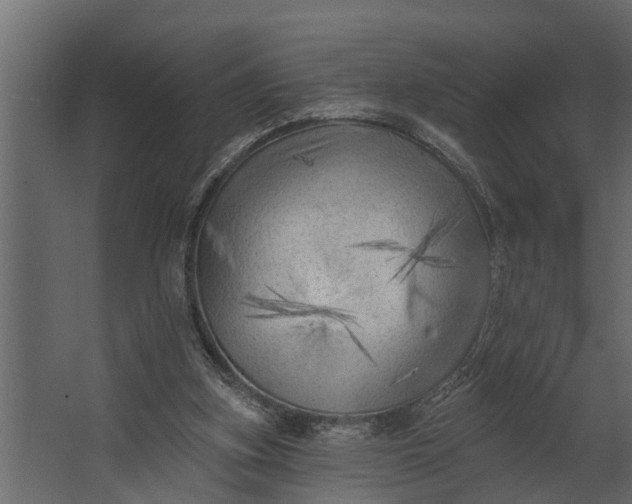 X0000067510155200604211800