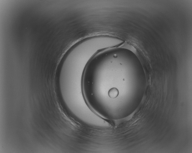 X0000067510156200604211800