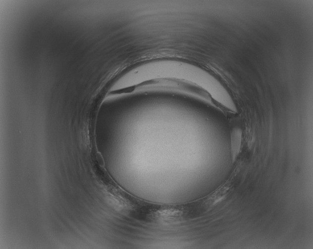 X0000067510158200604211800