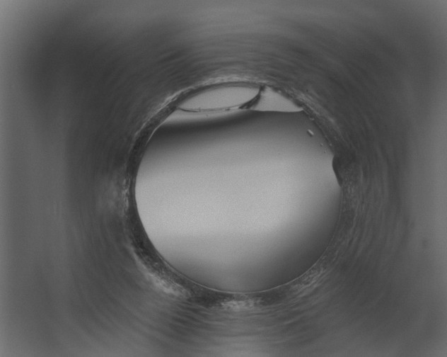 X0000067510160200604211800