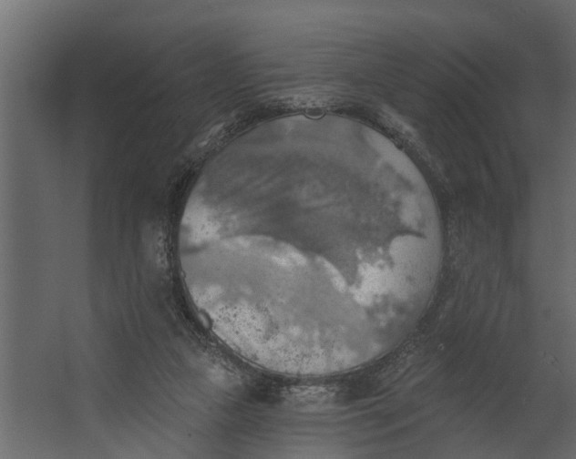 X0000067510161200604211800