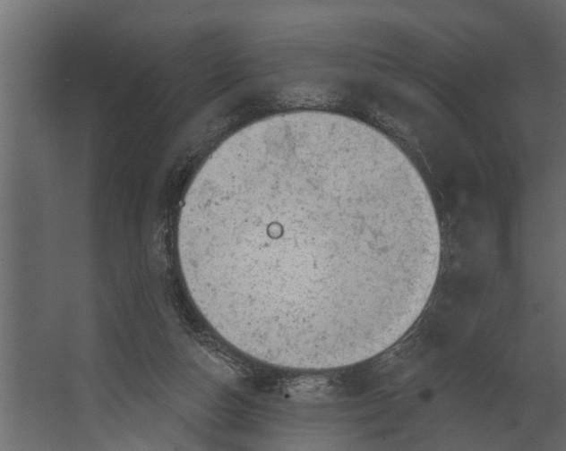 X0000067510162200604211800