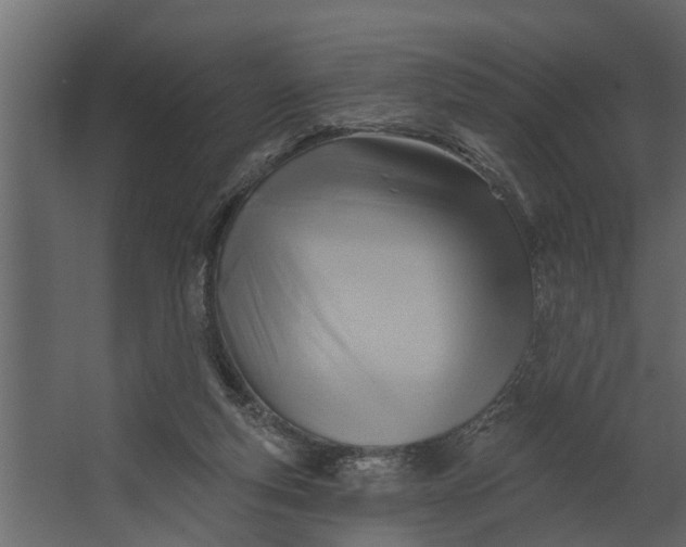 X0000067510163200604211800