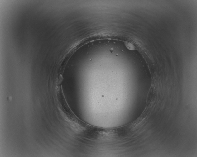 X0000067510164200604211800